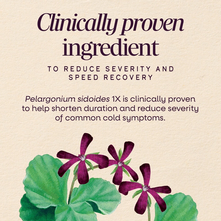 Nature's Way, Sambucus®, средство от простуды и гриппа, горячий напиток из бузины, для детей от 6 лет, лимон, 10 пакетиков по 5,3 г (0,186 унции)