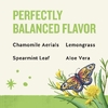 Celestial Seasonings, очищающая смесь, одуванчик, без кофеина, 16 чайных пакетиков, 27 г (0,96 унции)
