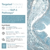 Triquetra Health, PX Therapeutics®, пребиотический комплекс GLP-Pre® GLP-1, 141 г (5 унций)