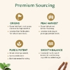 Vahdam Teas, Infusions, травяной чай, мята колосистая, без кофеина, 100 пакетиков для заваривания, 120 г (4,23 унции)