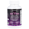 Vitamatic, ирландский морской мох, 180 вегетарианских капсул
