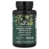 PlantFusion, веганские цельные продукты, органические фолаты и метил B12, со вкусом натуральных ягод, 60 пастилок