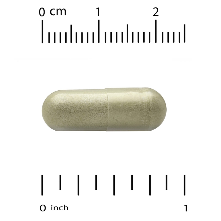 Vitacost, Экстракт гимнемы, 520 мг, 120 капсул