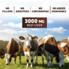 Vitamatic, кости и мозг от животных травяного откорма, 180 капсул (500 мг в 1 капсуле)