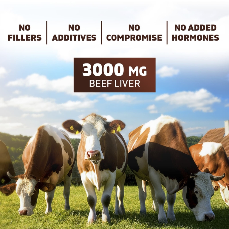 Vitamatic, кости и мозг от животных травяного откорма, 180 капсул (500 мг в 1 капсуле)