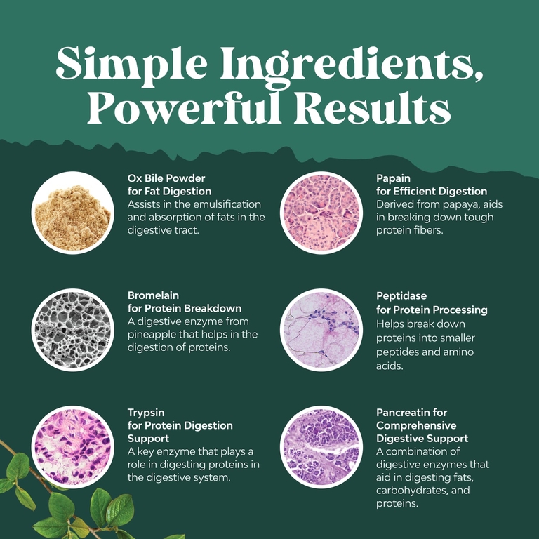 Nature's Craft, комплекс с бычьей желчи, 90 капсул