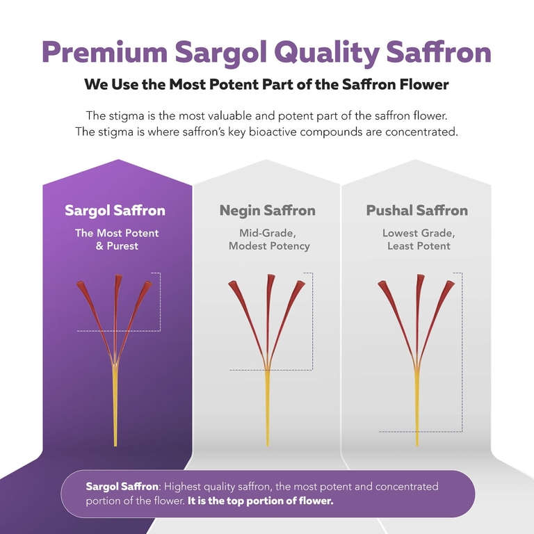 Triquetra Health, SaffronRX®, экстракт шафрана, 30 капсул