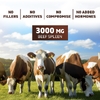Vitamatic, говяжья селезенка Grassfed Beef Splen, 180 капсул (500 мг в 1 капсуле)