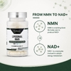 Probase Nutrition, Liposomal NMN с LipoAvail®, 30 капсул