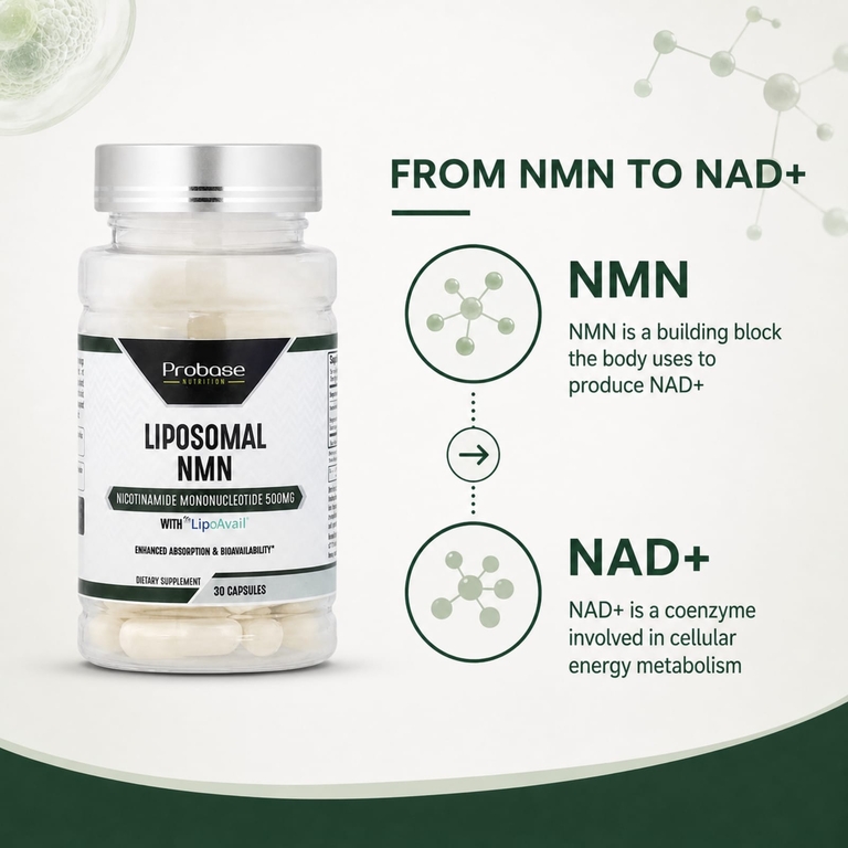 Probase Nutrition, Liposomal NMN с LipoAvail®, 30 капсул