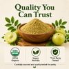 Vitamatic, Органический порошок амлы, 16 унций (454 г)