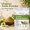 Vitamatic, Органический порошок амлы, 16 унций (454 г)