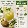 Vitamatic, Органический порошок амлы, 16 унций (454 г)