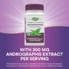 Nature's Way, андрографис, 60 веганских капсул