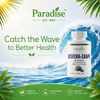 Paradise Herbs, Ресвератрол + полифенолы из винограда, 60 вегетарианских капсул (250 мг на капсулу)