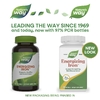 Nature's Way, комплекс с железом, 90 желатиновых капсул