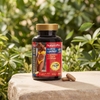 NaturesPlus, липотропные вещества и ферменты, 60 двухслойных таблеток