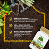 NaturesPlus, витамин C, ягоды амлы, 60 веганских капсул