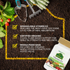 NaturesPlus, витамин K2, 60 веганских капсул