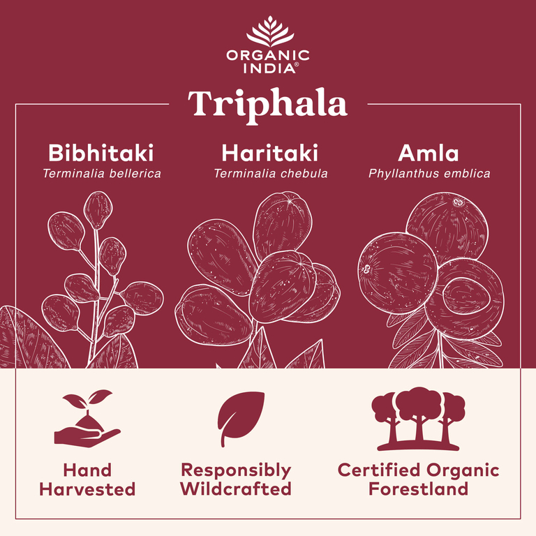 Organic India, трифала, 90 вегетарианских капсул