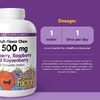Natural Factors, жевательные таблетки с витамином C, со вкусом фруктов, голубика, малина и бойзенова ягода, 500 мг, 180 жевательных таблеток