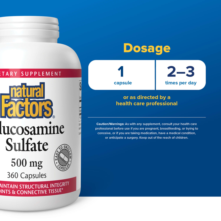 Natural Factors, сульфат глюкозамина, 500 мг, 360 капсул