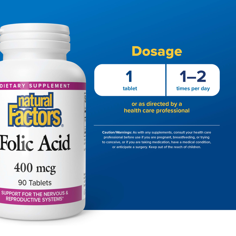 Natural Factors, фолиевая кислота, 90 таблеток