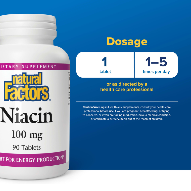 Natural Factors, ниацин, 100 мг, 90 таблеток