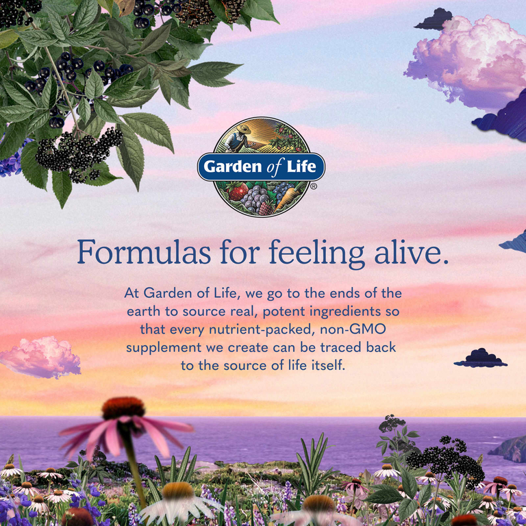 Garden of Life, витамины для женщин в период до, во время беременности и кормления грудью, 180 вегетарианских капсул