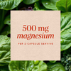 Nature's Way, комплекс с магнием, 100 капсул (250 мг в 1 капсуле)