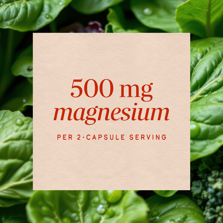 Nature's Way, комплекс с магнием, 100 капсул (250 мг в 1 капсуле)