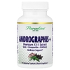 Paradise Herbs, Экстракт андрографиса, 60 вегетарианских капсул
