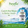 Paradise Herbs, Экстракт андрографиса, 60 вегетарианских капсул