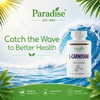 Paradise Herbs, L-карнозин, 60 вегетарианских капсул (250 мг на капсулу)