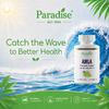 Paradise Herbs, амла, 60 вегетарианских капсул (250 мг в 1 капсуле)