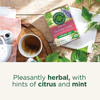 Traditional Medicinals, растительный чай для поддержки менструального цикла, листья малины, без кофеина, 16 упакованных чайных пакетиков, 24 г (0,85 унции)