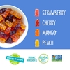 YumEarth, жевательные мишки без глютена, со вкусом клубники, вишни, манго и персика, 5 порционных пакетиков по 19,8 г (0,7 унции)