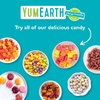 YumEarth, жевательные мишки без глютена, со вкусом клубники, вишни, манго и персика, 5 порционных пакетиков по 19,8 г (0,7 унции)