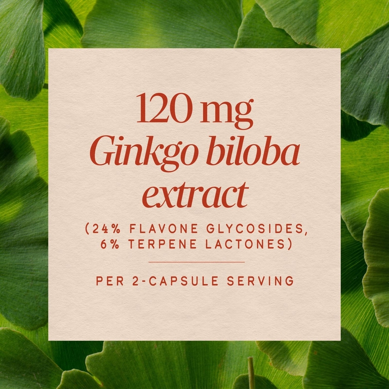 Nature's Way, гинкго, стандартизированный экстракт, 60 веганских капсул