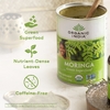 Organic India, Моринга в порошке, зелёный суперфуд, 226 г (8 унций)
