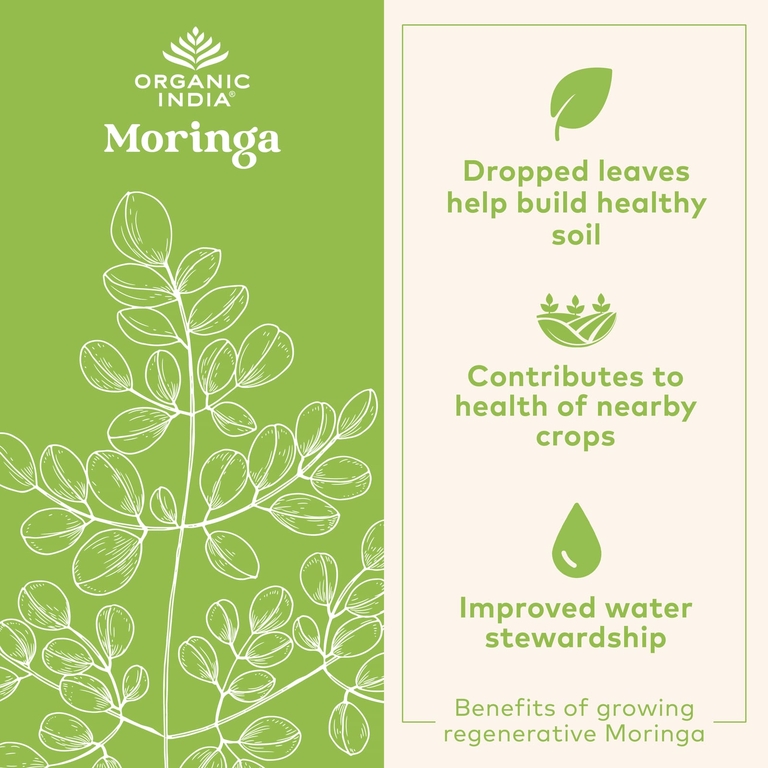 Organic India, Моринга в порошке, зелёный суперфуд, 226 г (8 унций)