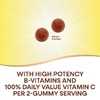 Nature's Way, комплекс витаминов группы B, со вкусом манго, 60 жевательных таблеток