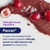 AZO, жевательные таблетки Cranberry®, со вкусом ягод, 40 жевательных таблеток (250 мг в 1 жевательной таблетке)
