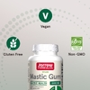 Jarrow Formulas, мастиковая смола, веганский продукт, 120 вегетарианских капсул (500 мг в 1 капсуле)