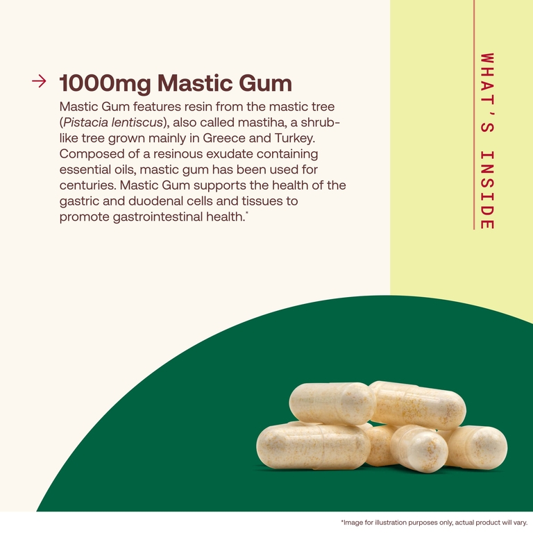 Jarrow Formulas, мастиковая смола, веганский продукт, 120 вегетарианских капсул (500 мг в 1 капсуле)