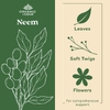 Organic India, ним, 90 вегетарианских капсул