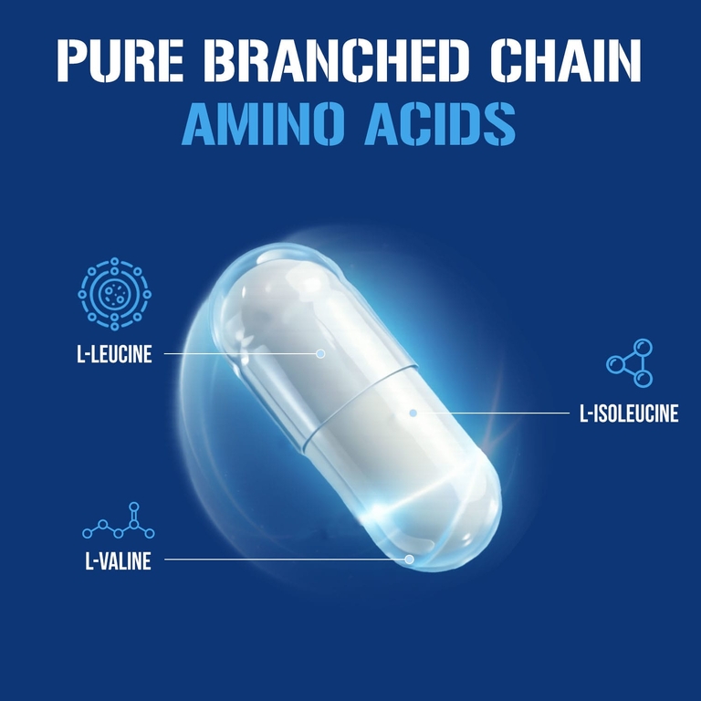 EVLution Nutrition, аминокислоты с разветвленной цепью, 240 капсул
