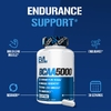 EVLution Nutrition, аминокислоты с разветвленной цепью, 240 капсул