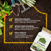 NaturesPlus, комплекс витаминов группы B, 60 растительных капсул