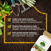 NaturesPlus, железо, 30 веганских капсул (18 мг в 1 капсуле)